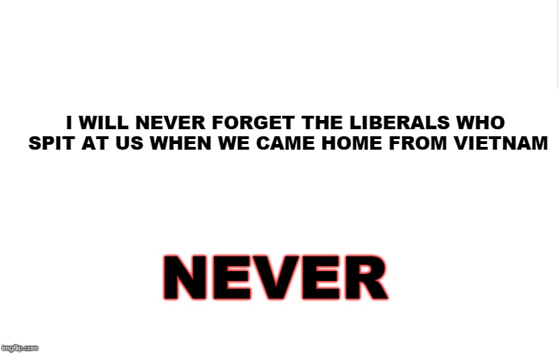 Blank meme template | I WILL NEVER FORGET THE LIBERALS WHO SPIT AT US WHEN WE CAME HOME FROM VIETNAM; NEVER | image tagged in blank meme template | made w/ Imgflip meme maker