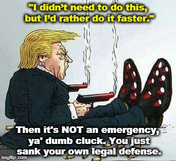 "I didn’t need to do this, but I’d rather do it faster."; Then it's NOT an emergency, ya' dumb cluck. You just sank your own legal defense. | image tagged in trump,state of emergency,mexico,border,wall,dumb | made w/ Imgflip meme maker