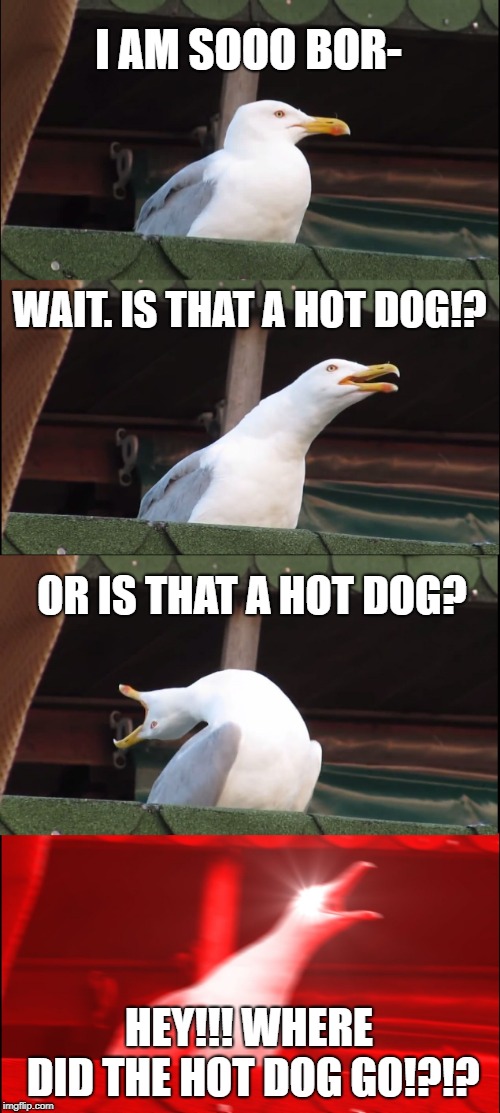 Inhaling Seagull | I AM SOOO BOR-; WAIT. IS THAT A HOT DOG!? OR IS THAT A HOT DOG? HEY!!! WHERE DID THE HOT DOG GO!?!? | image tagged in memes,inhaling seagull | made w/ Imgflip meme maker