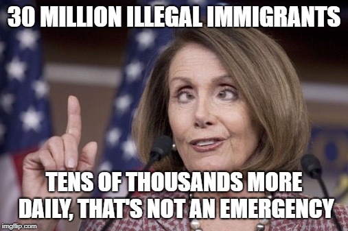Nancy pelosi | 30 MILLION ILLEGAL IMMIGRANTS; TENS OF THOUSANDS MORE DAILY, THAT'S NOT AN EMERGENCY | image tagged in nancy pelosi | made w/ Imgflip meme maker