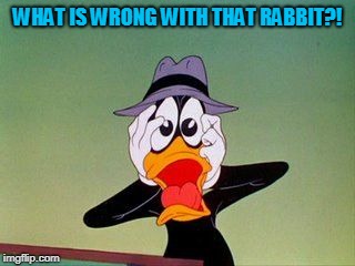 DAFFY DUCK SCARED | WHAT IS WRONG WITH THAT RABBIT?! | image tagged in daffy duck scared | made w/ Imgflip meme maker