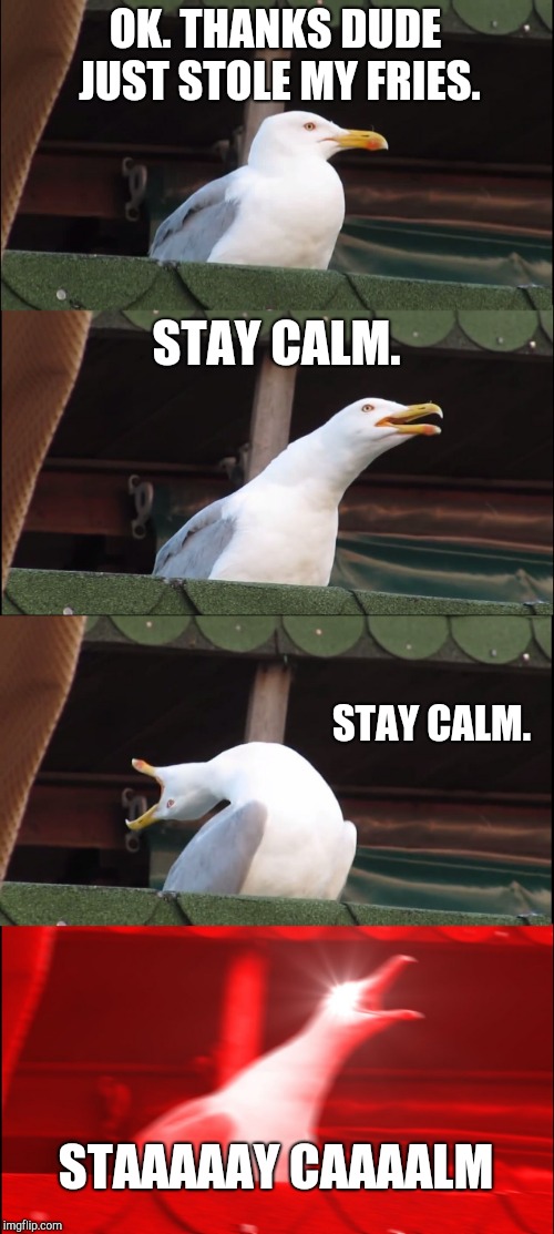 Inhaling Seagull | OK. THANKS DUDE JUST STOLE MY FRIES. STAY CALM. STAY CALM. STAAAAAY CAAAALM | image tagged in memes,inhaling seagull | made w/ Imgflip meme maker