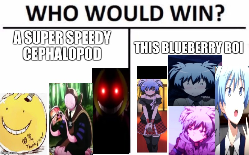 Who Would Win? Meme | A SUPER SPEEDY CEPHALOPOD; THIS BLUEBERRY BOI | image tagged in memes,who would win | made w/ Imgflip meme maker