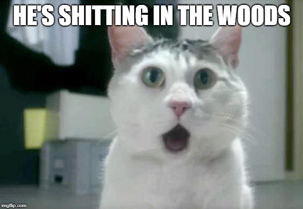 OMG Cat Meme | HE'S SHITTING IN THE WOODS | image tagged in memes,omg cat | made w/ Imgflip meme maker