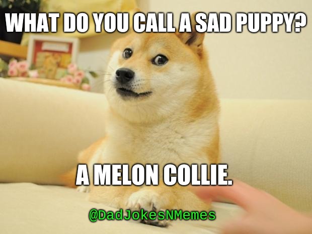 This one is a bit 'ruff' | WHAT DO YOU CALL A SAD PUPPY? A MELON COLLIE. @DadJokesNMemes | image tagged in memes,doge 2,dogs,bad pun | made w/ Imgflip meme maker