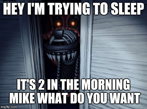 HEY I'M TRYING TO SLEEP; IT'S 2 IN THE MORNING MIKE WHAT DO YOU WANT | image tagged in fnaf4,all memes | made w/ Imgflip meme maker