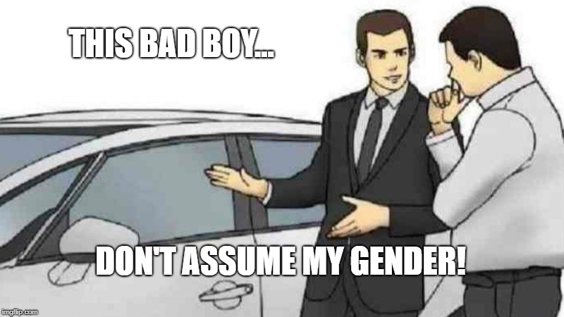 Car Salesman Slaps Roof Of Car | THIS BAD BOY... DON'T ASSUME MY GENDER! | image tagged in memes,car salesman slaps roof of car | made w/ Imgflip meme maker