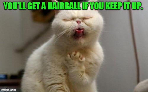 Coughing car | YOU'LL GET A HAIRBALL IF YOU KEEP IT UP. | image tagged in coughing car | made w/ Imgflip meme maker