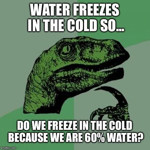 Philosoraptor Meme | WATER FREEZES IN THE COLD SO... DO WE FREEZE IN THE COLD BECAUSE WE ARE 60% WATER? | image tagged in memes,philosoraptor | made w/ Imgflip meme maker