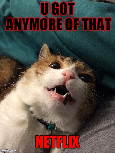 Crazy Kitty | U GOT ANYMORE OF THAT; NETFLIX | image tagged in netflix | made w/ Imgflip meme maker