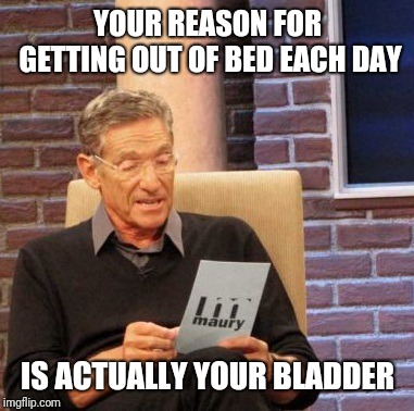 Maury Lie Detector Meme | YOUR REASON FOR GETTING OUT OF BED EACH DAY; IS ACTUALLY YOUR BLADDER | image tagged in memes,maury lie detector | made w/ Imgflip meme maker