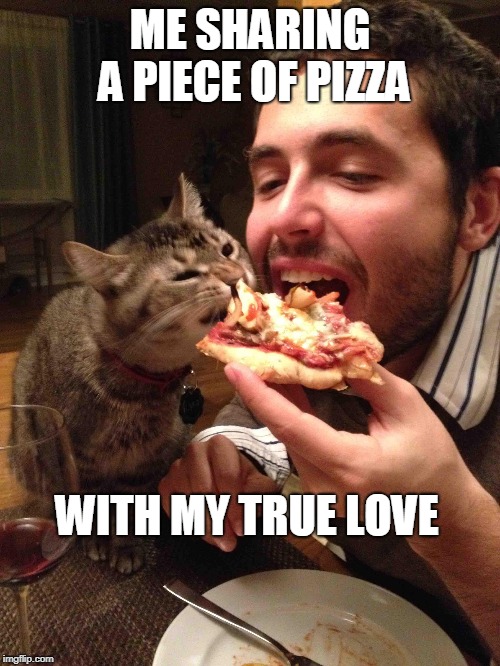 ME SHARING A PIECE OF PIZZA; WITH MY TRUE LOVE | image tagged in pizza cat | made w/ Imgflip meme maker