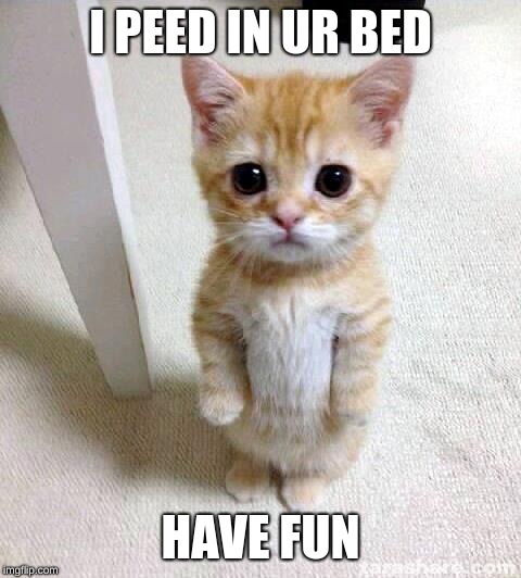 Cute Cat | I PEED IN UR BED; HAVE FUN | image tagged in memes,cute cat | made w/ Imgflip meme maker