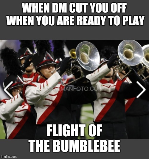 WHEN DM CUT YOU OFF WHEN YOU ARE READY TO PLAY; FLIGHT OF THE BUMBLEBEE | image tagged in memes | made w/ Imgflip meme maker