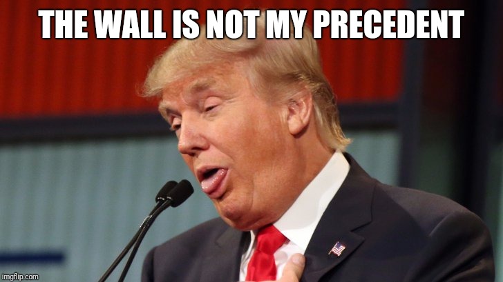 Trump dumbass look | THE WALL IS NOT MY PRECEDENT | image tagged in trump dumbass look | made w/ Imgflip meme maker