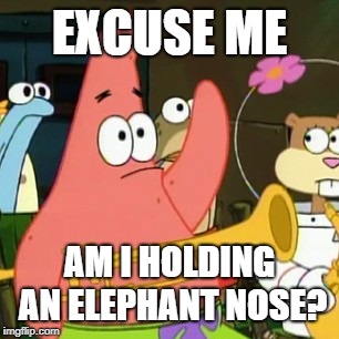 no way a trumpet is FROM A ELEPHANT  | EXCUSE ME; AM I HOLDING AN ELEPHANT NOSE? | image tagged in memes,no patrick | made w/ Imgflip meme maker
