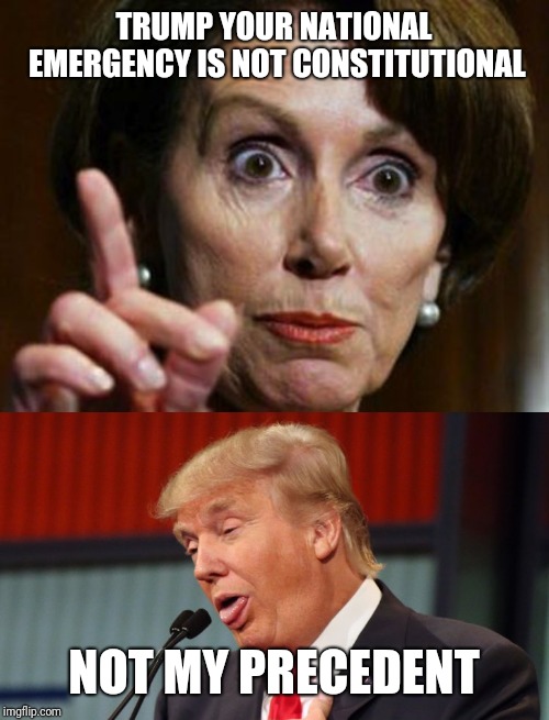 Just a joke | TRUMP YOUR NATIONAL EMERGENCY IS NOT CONSTITUTIONAL; NOT MY PRECEDENT | image tagged in nancy pelosi no spending problem,trump dumbass look | made w/ Imgflip meme maker