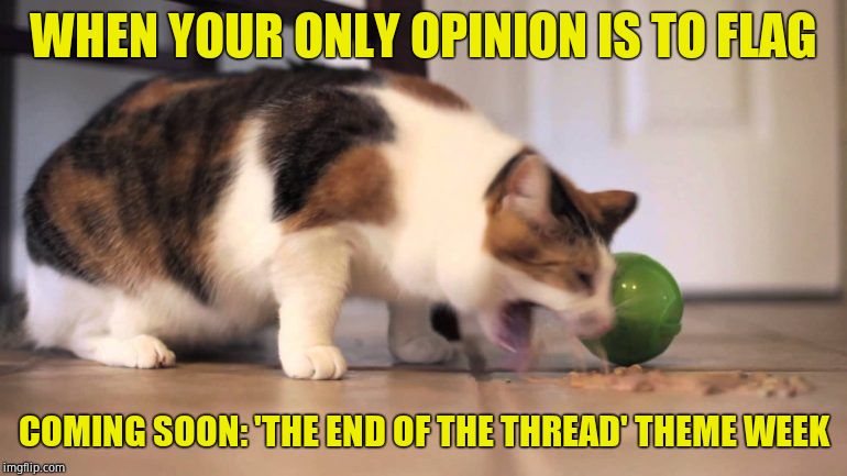 End of the Thread Week | March 7 - 13 | A BeyondTheComments event | WHEN YOUR ONLY OPINION IS TO FLAG; COMING SOON: 'THE END OF THE THREAD' THEME WEEK | image tagged in cat puke | made w/ Imgflip meme maker