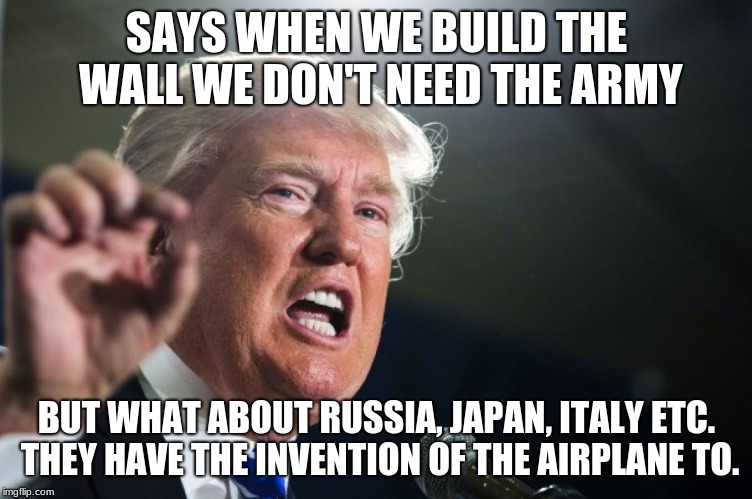 donald trump | SAYS WHEN WE BUILD THE WALL WE DON'T NEED THE ARMY; BUT WHAT ABOUT RUSSIA, JAPAN, ITALY ETC. THEY HAVE THE INVENTION OF THE AIRPLANE TO. | image tagged in donald trump | made w/ Imgflip meme maker