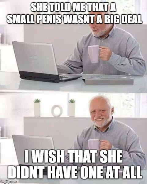 Comment when you get it | SHE TOLD ME THAT A SMALL PENIS WASNT A BIG DEAL; I WISH THAT SHE DIDNT HAVE ONE AT ALL | image tagged in memes,hide the pain harold | made w/ Imgflip meme maker