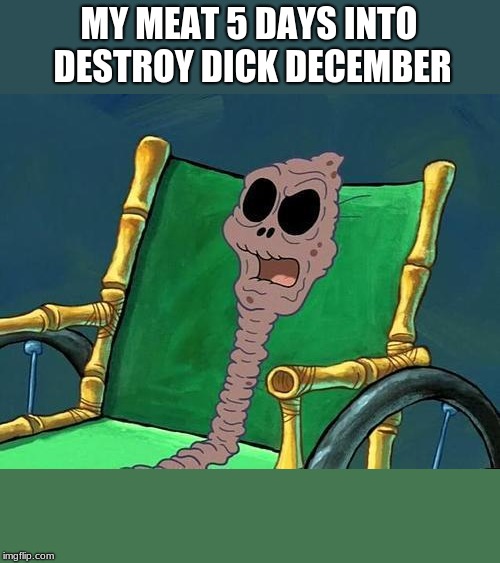 What Did He Say Spongebob Meme | MY MEAT 5 DAYS INTO DESTROY DICK DECEMBER | image tagged in what did he say spongebob meme | made w/ Imgflip meme maker