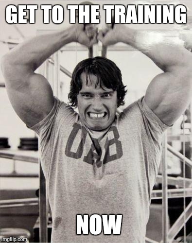 GET TO THE TRAINING; NOW | image tagged in arnold schwarzenegger | made w/ Imgflip meme maker
