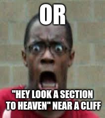 Scared Black Guy | OR "HEY LOOK A SECTION TO HEAVEN" NEAR A CLIFF | image tagged in scared black guy | made w/ Imgflip meme maker