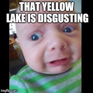 Uhhhhhhhhh... | THAT YELLOW LAKE IS DISGUSTING | image tagged in uhhhhhhhhh | made w/ Imgflip meme maker