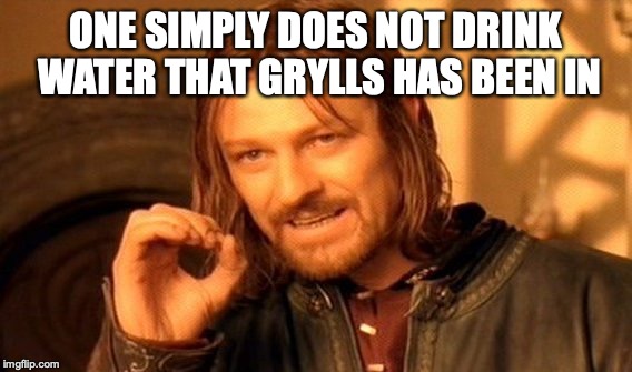 One Does Not Simply Meme | ONE SIMPLY DOES NOT DRINK WATER THAT GRYLLS HAS BEEN IN | image tagged in memes,one does not simply | made w/ Imgflip meme maker