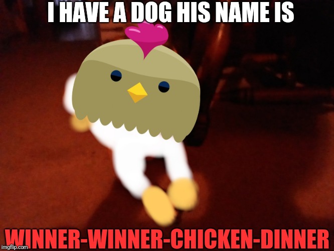 I HAVE A DOG HIS NAME IS; WINNER-WINNER-CHICKEN-DINNER | image tagged in winner-winner-chicken-dinner | made w/ Imgflip meme maker