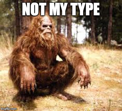 bigfoot | NOT MY TYPE | image tagged in bigfoot | made w/ Imgflip meme maker