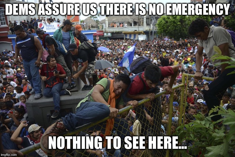 DEMS ASSURE US THERE IS NO EMERGENCY; NOTHING TO SEE HERE... | made w/ Imgflip meme maker
