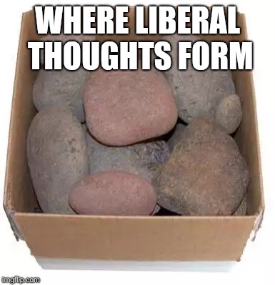 Box of Rocks | WHERE LIBERAL THOUGHTS FORM | image tagged in box of rocks | made w/ Imgflip meme maker