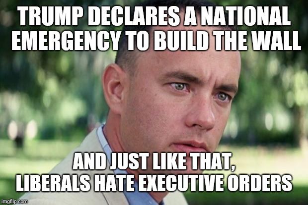 And Just Like That Meme | TRUMP DECLARES A NATIONAL EMERGENCY TO BUILD THE WALL; AND JUST LIKE THAT, LIBERALS HATE EXECUTIVE ORDERS | image tagged in forrest gump | made w/ Imgflip meme maker