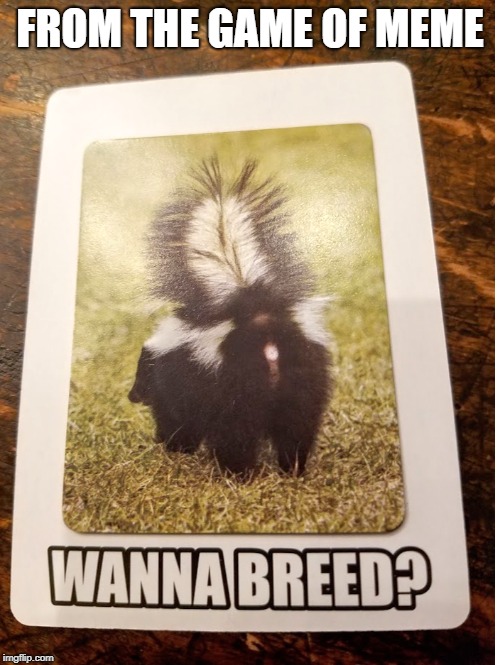 FROM THE GAME OF MEME | image tagged in skunk | made w/ Imgflip meme maker