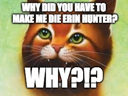 Warrior cats Firestar | WHY DID YOU HAVE TO MAKE ME DIE ERIN HUNTER? WHY?!? | image tagged in warrior cats firestar | made w/ Imgflip meme maker