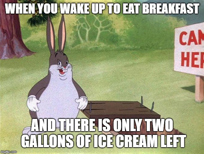 Big Chungus | WHEN YOU WAKE UP TO EAT BREAKFAST; AND THERE IS ONLY TWO GALLONS OF ICE CREAM LEFT | image tagged in big chungus | made w/ Imgflip meme maker