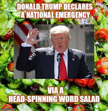 National Emergency Word-Salad  | DONALD TRUMP DECLARES A NATIONAL EMERGENCY; VIA A HEAD-SPINNING WORD SALAD | image tagged in trump,nationalemergency,mega,immigration,25thamendment | made w/ Imgflip meme maker
