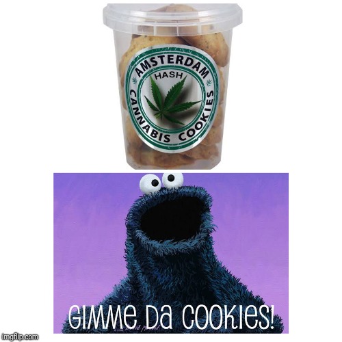 Mmmm cookies | image tagged in medical marijuana | made w/ Imgflip meme maker