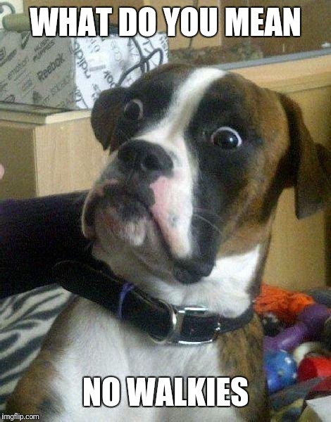 Surprised Dog | WHAT DO YOU MEAN; NO WALKIES | image tagged in surprised dog | made w/ Imgflip meme maker