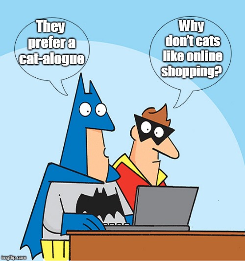Cat's shopping | They prefer a cat-alogue; Why don’t cats like online shopping? | image tagged in cat | made w/ Imgflip meme maker