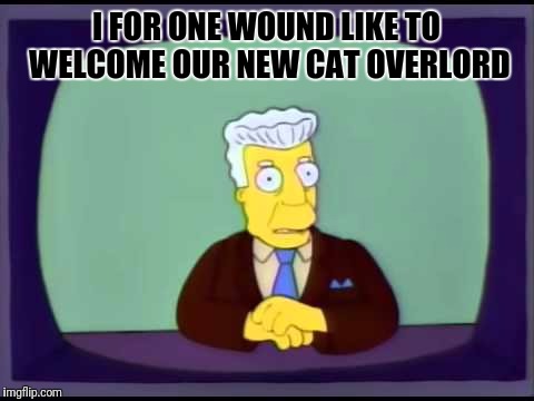 I FOR ONE WOUND LIKE TO WELCOME OUR NEW CAT OVERLORD | made w/ Imgflip meme maker