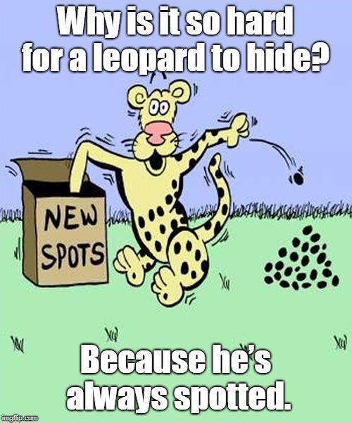 Spotted cheetah  | Why is it so hard for a leopard to hide? Because he’s always spotted. | image tagged in cat | made w/ Imgflip meme maker