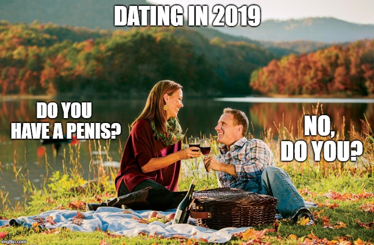 romantic picnic Imgflip
