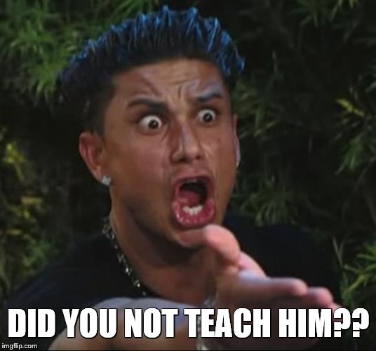 DJ Pauly D Meme | DID YOU NOT TEACH HIM?? | image tagged in memes,dj pauly d | made w/ Imgflip meme maker
