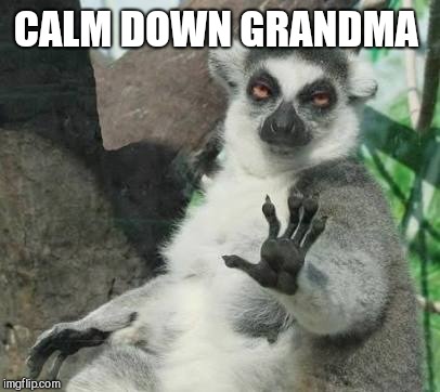 No thanks lemur | CALM DOWN GRANDMA | image tagged in no thanks lemur | made w/ Imgflip meme maker