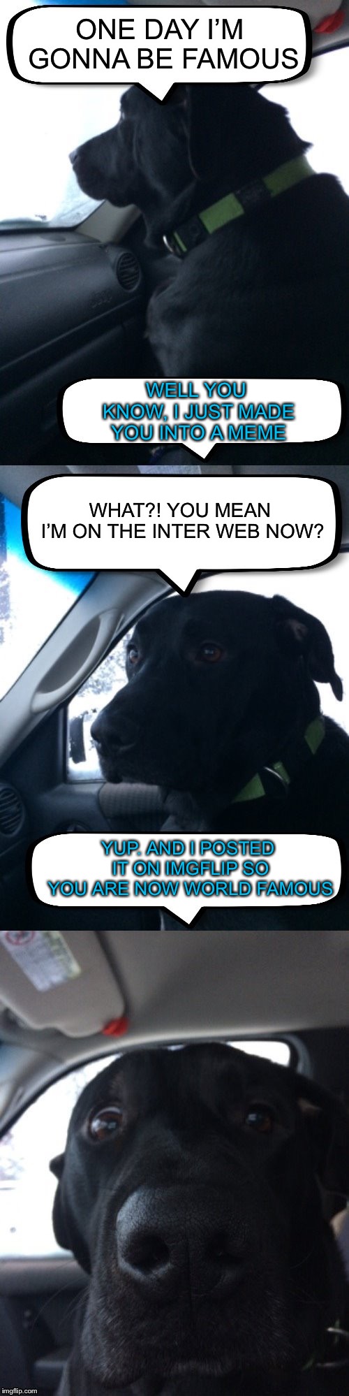 Dismayed Duke | ONE DAY I’M GONNA BE FAMOUS; WELL YOU KNOW, I JUST MADE YOU INTO A MEME; WHAT?! YOU MEAN I’M ON THE INTER WEB NOW? YUP. AND I POSTED IT ON IMGFLIP SO YOU ARE NOW WORLD FAMOUS | image tagged in dismayed duke | made w/ Imgflip meme maker