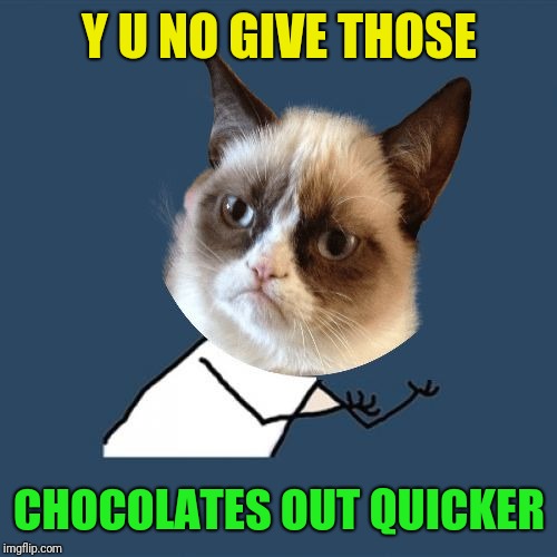 Grumpy YU NO | Y U NO GIVE THOSE CHOCOLATES OUT QUICKER | image tagged in grumpy yu no | made w/ Imgflip meme maker