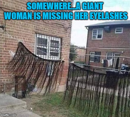 And what are those things really??? | SOMEWHERE...A GIANT WOMAN IS MISSING HER EYELASHES | image tagged in giant eyelashes,memes,out to dry,funny,wtf | made w/ Imgflip meme maker