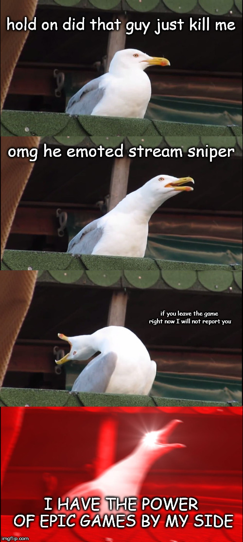 Ninja in a nutshell | hold on did that guy just kill me; omg he emoted stream sniper; if you leave the game right now I will not report you; I HAVE THE POWER OF EPIC GAMES BY MY SIDE | image tagged in memes,inhaling seagull | made w/ Imgflip meme maker